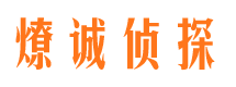 潍城市调查公司